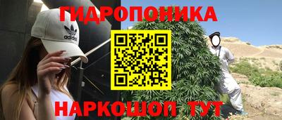 сатива Беслан