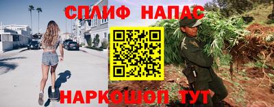сатива Беслан
