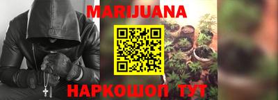 гашик Бийск
