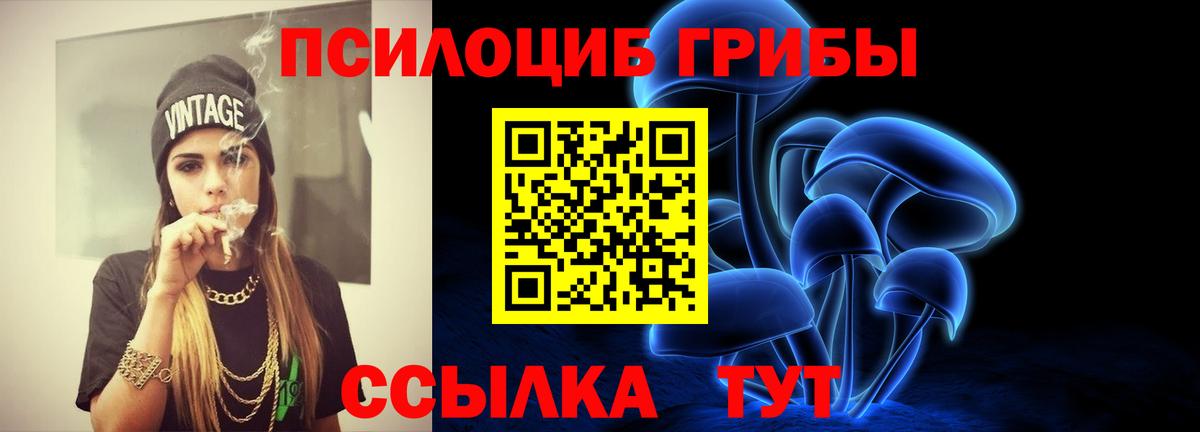 Грязи  Псилоцибиновые грибы MAGIC MUSHROOMS  Вход с VPN 